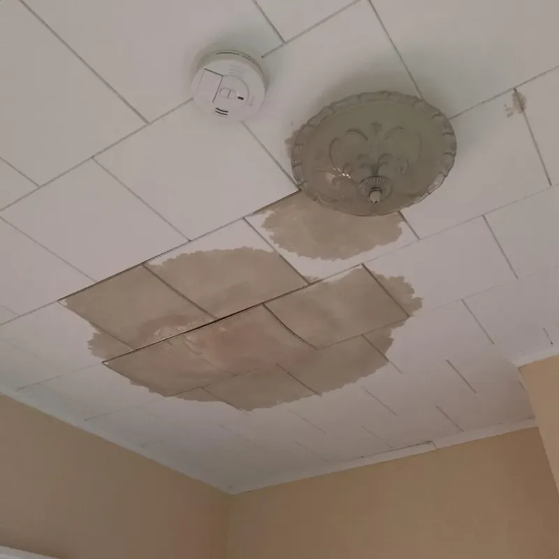 Ceiling Water Damage Repair in Allegany County, NY