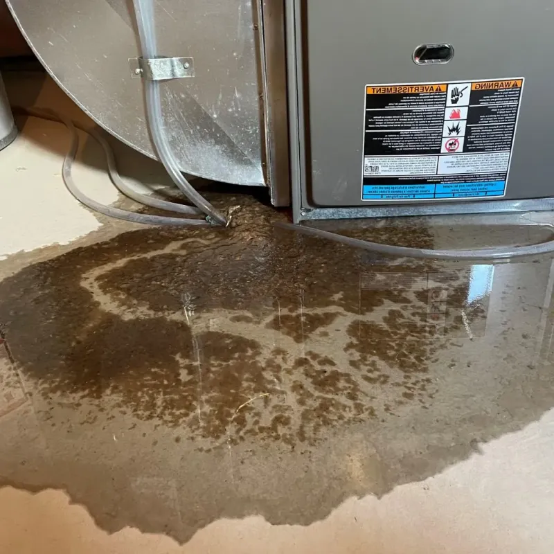 Pipe Burst and Leak Restoration in Allegany County, NY