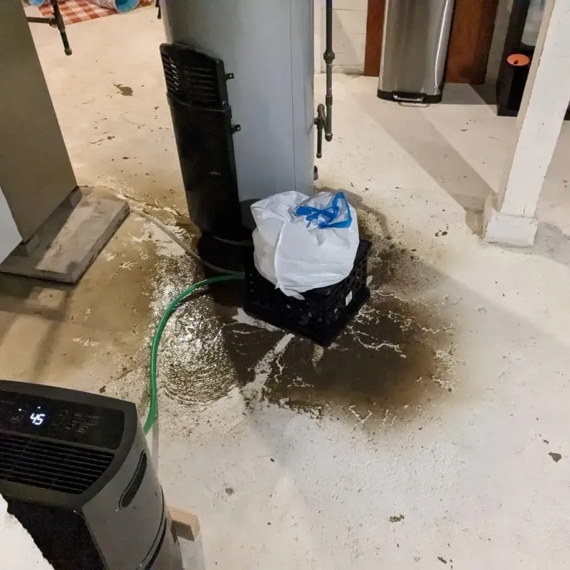 Sewage Backup Cleanup Service in Allegany County, NY